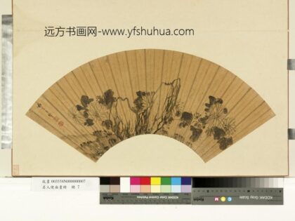 名人便面画册册 明吴之管菊石.jpg