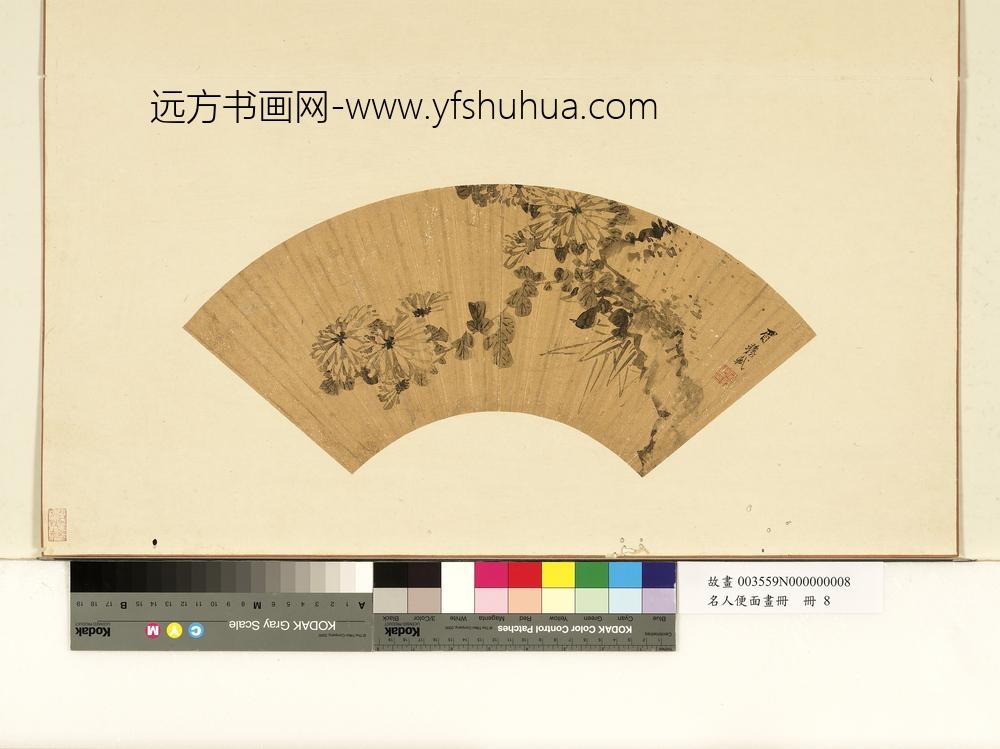 名人便面画册册-清沈轼墨写菊竹