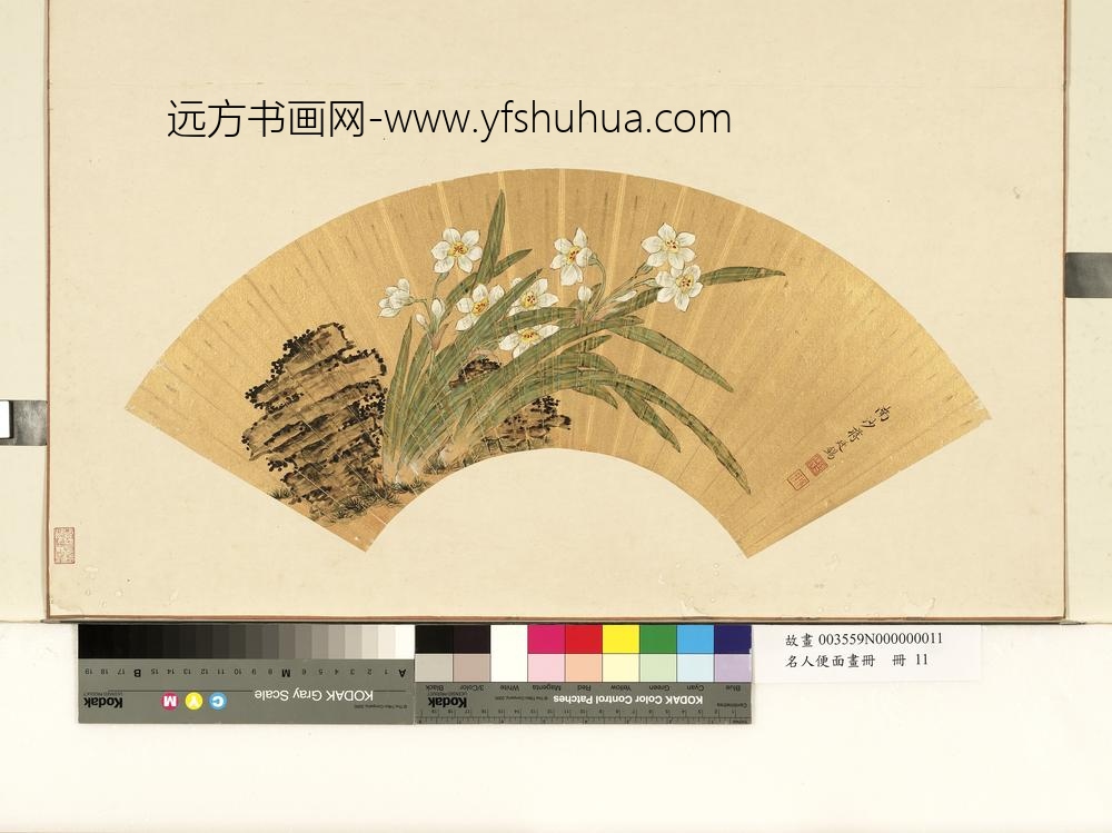 名人便面画册册-清蒋廷锡水仙寿石