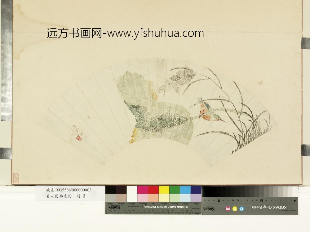 名人便面画册册-清许永芦荷翠羽