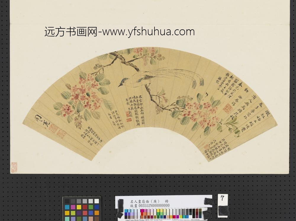 名人画扇面（庚）册明周之冕紫薇寿带