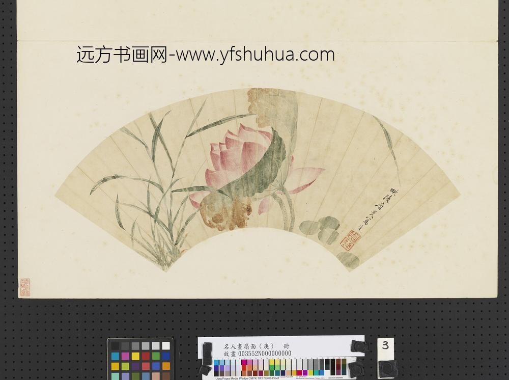 名人画扇面（庚）册清唐光莲花写生