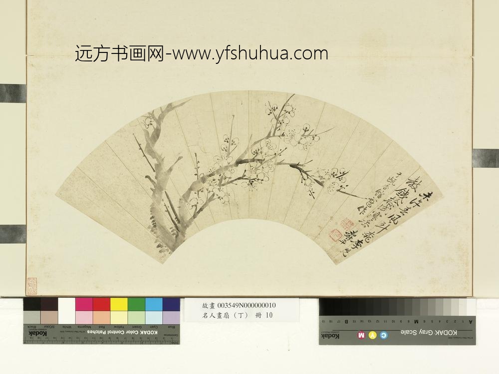 名人画扇（丁）册清恽寿平画梅