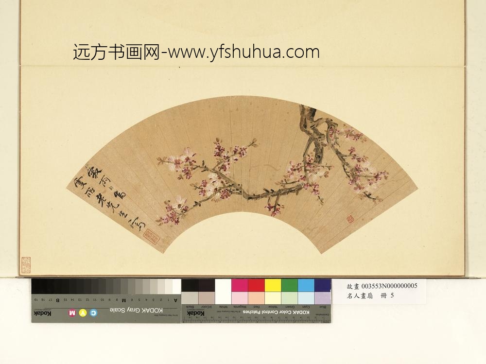 名人画扇（上）册明王谷祥杏花