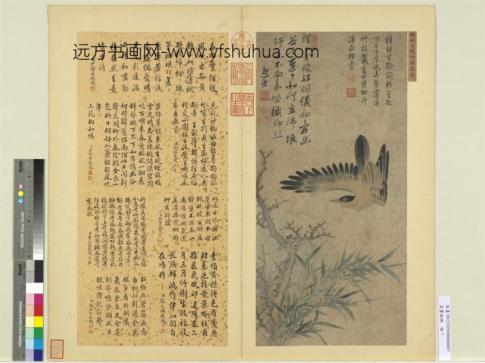 名画琳琅册-明姚绶竹树春莺