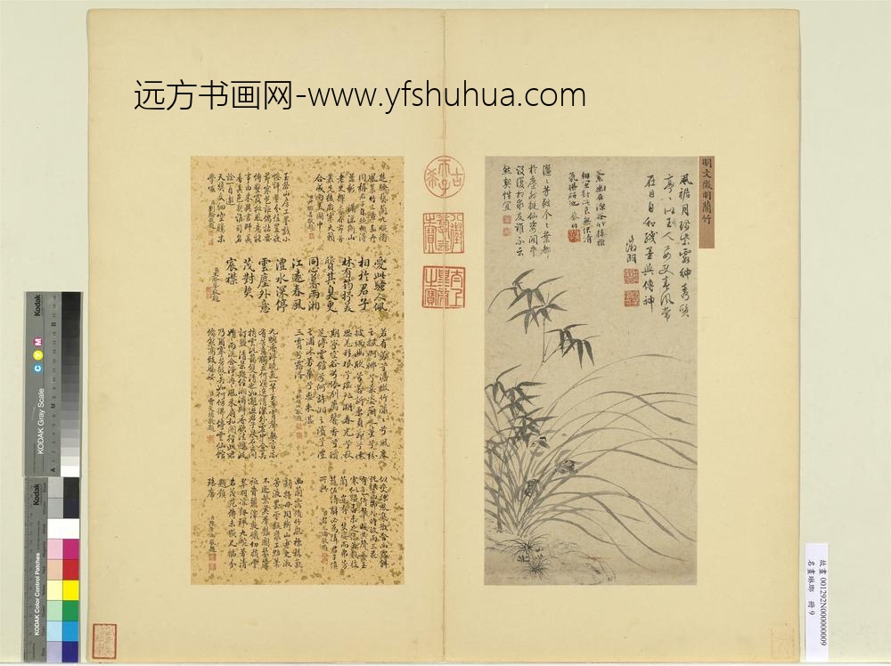 名画琳琅册-明文征明兰竹