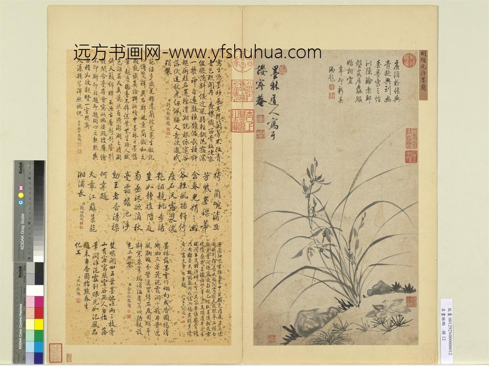 名画琳琅册-明项元汴墨兰