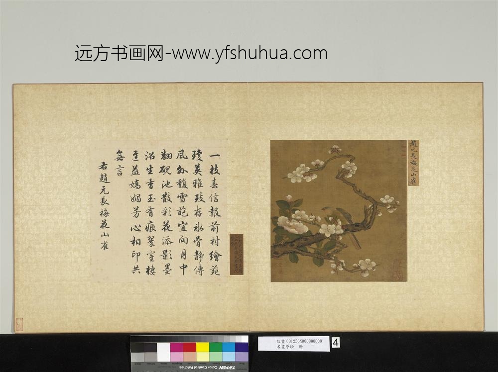 名画荟珍册-宋赵元长梅花山雀