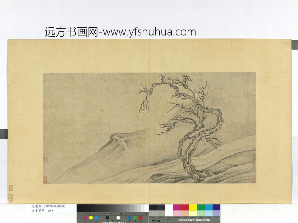 名画荟萃册-元陈贞素树石