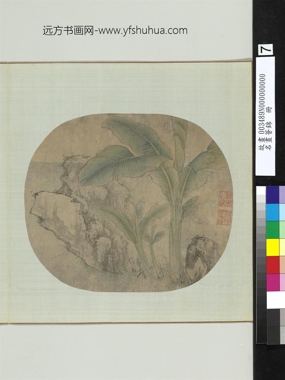 名画荟锦册-元柯九思芭蕉奇石