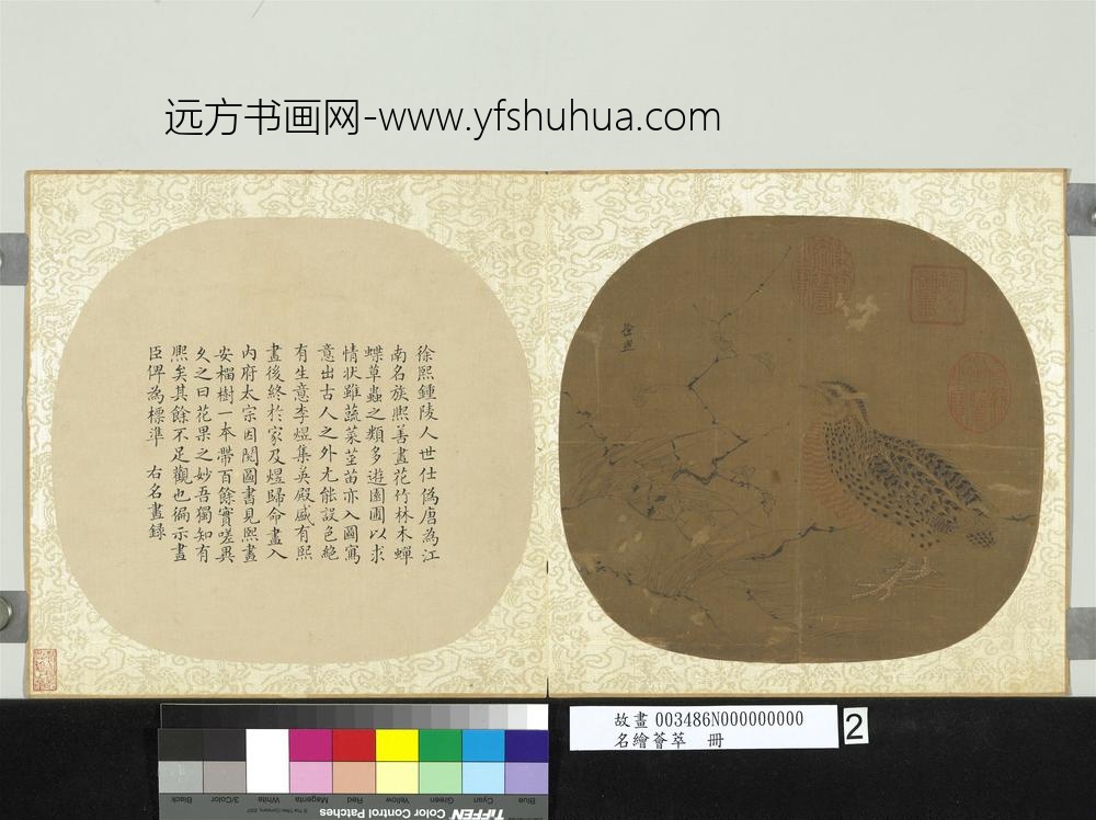 名绘荟萃册-五代徐熙鹌鹑