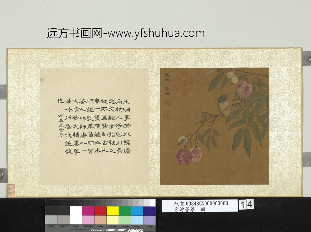 名绘荟萃册-元王渊荔枝