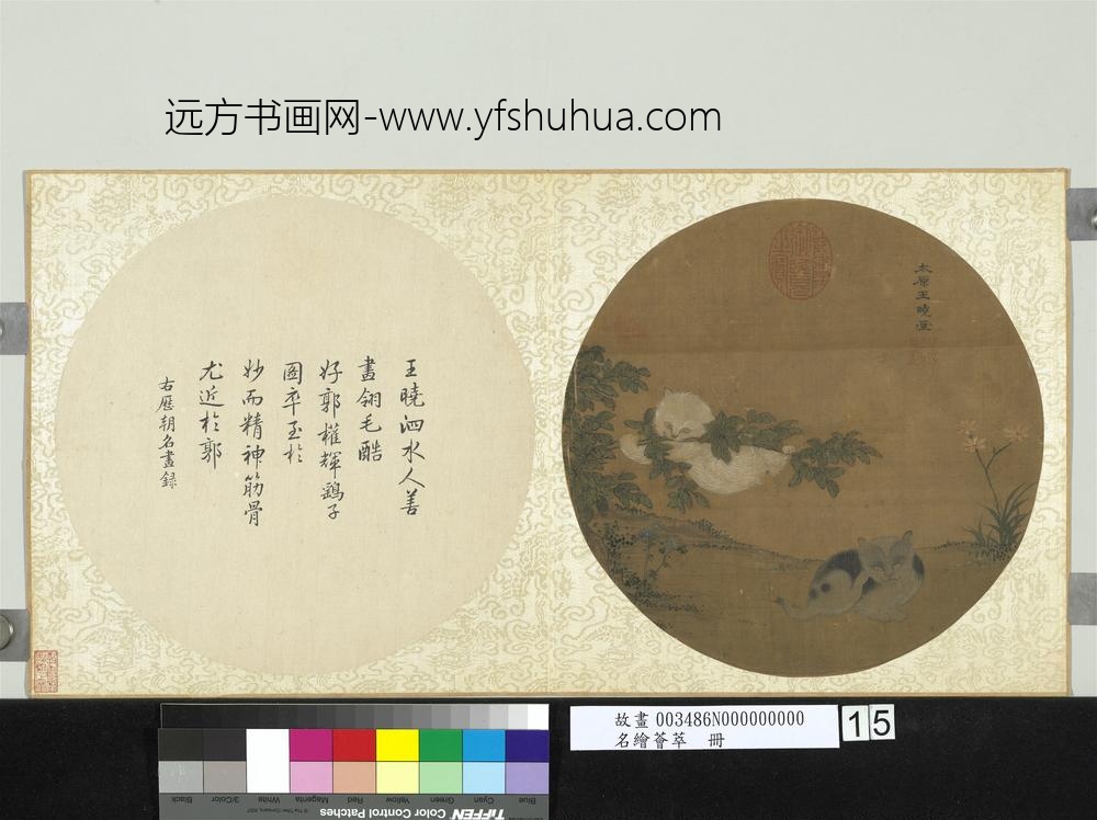 名绘荟萃册-宋王晓花狸