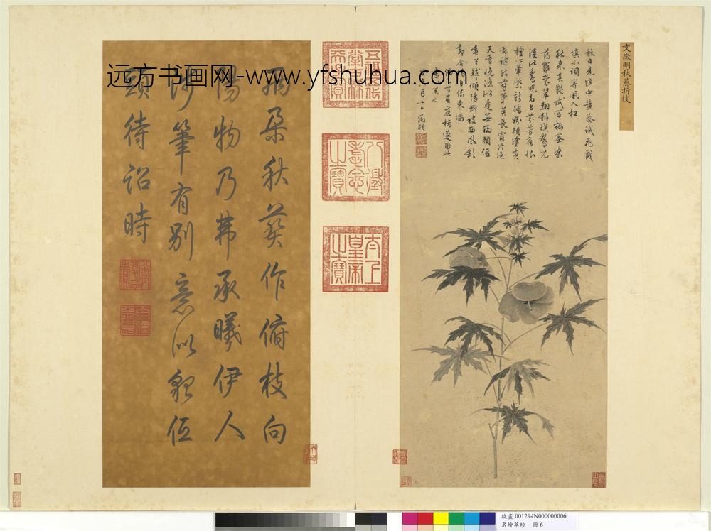 名绘萃珍册-明文征明秋葵折枝