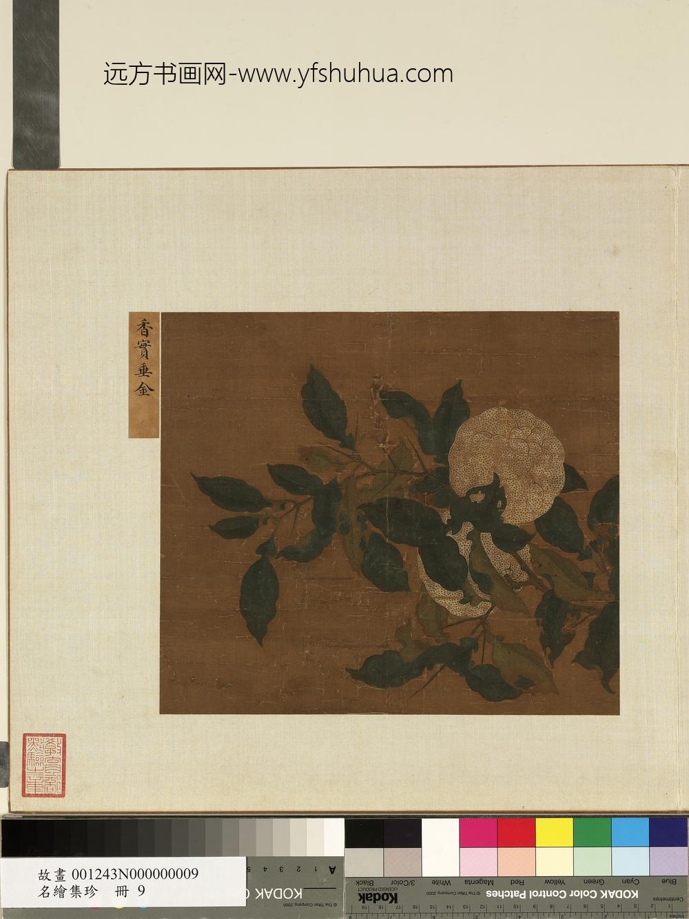 名绘集珍册-无款香实垂金