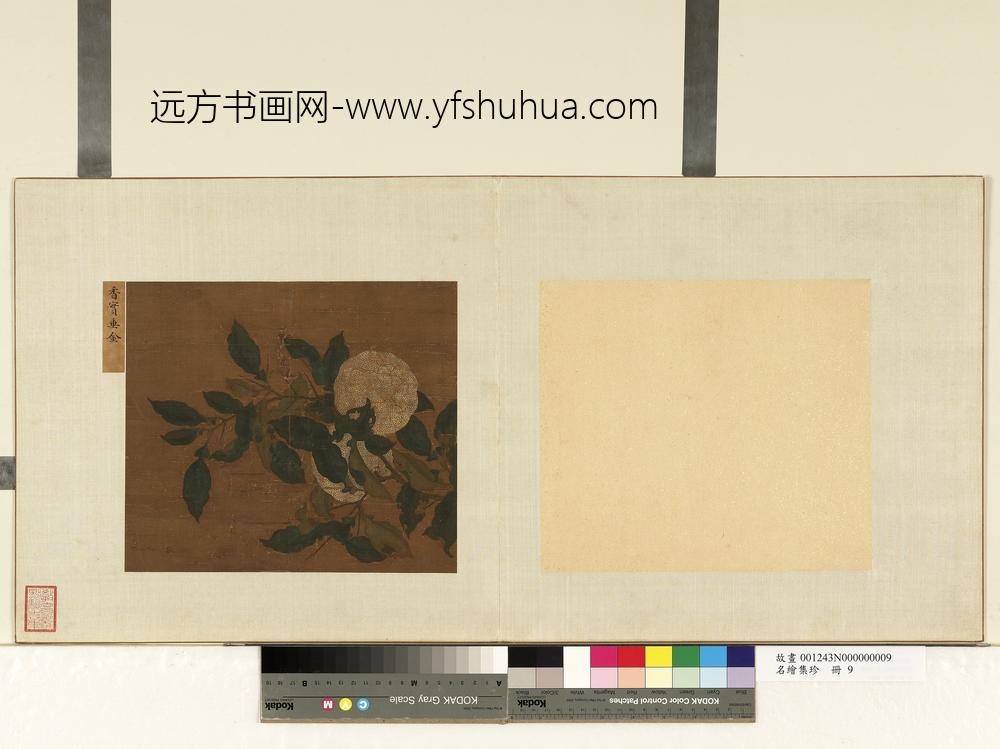 名绘集珍册-无款香实垂金
