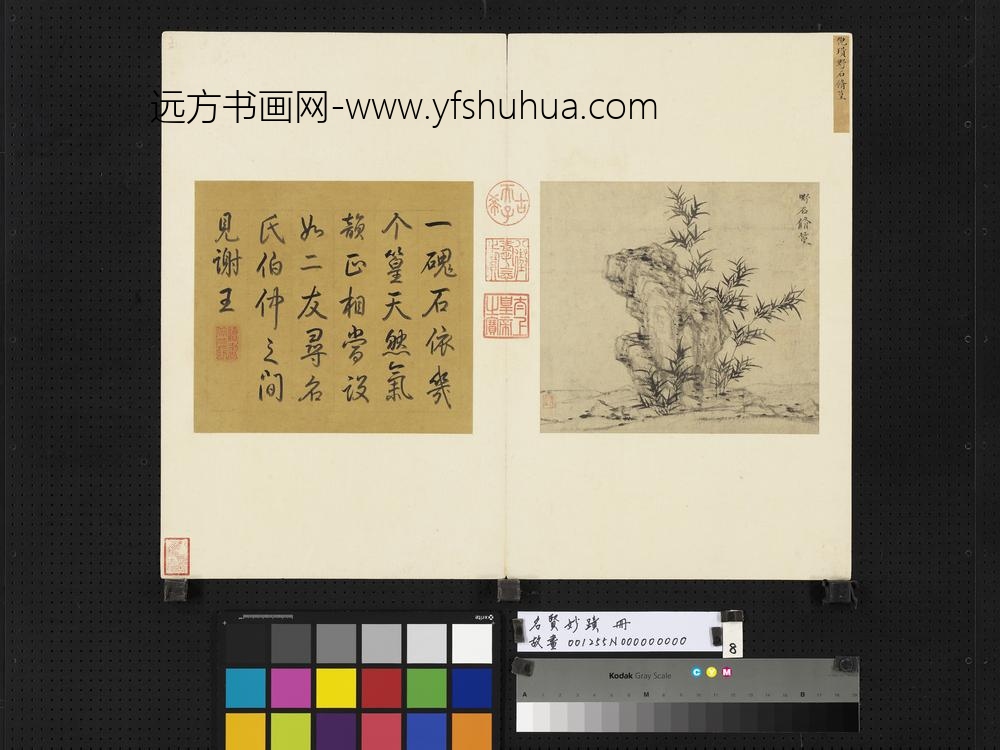 名贤妙迹册-元倪瓒野石修篁