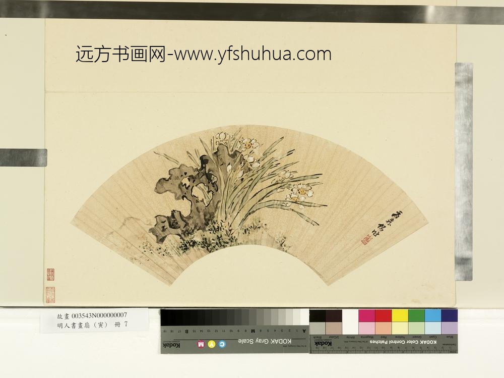 夏森-明人书画扇(寅)册-湖石水仙