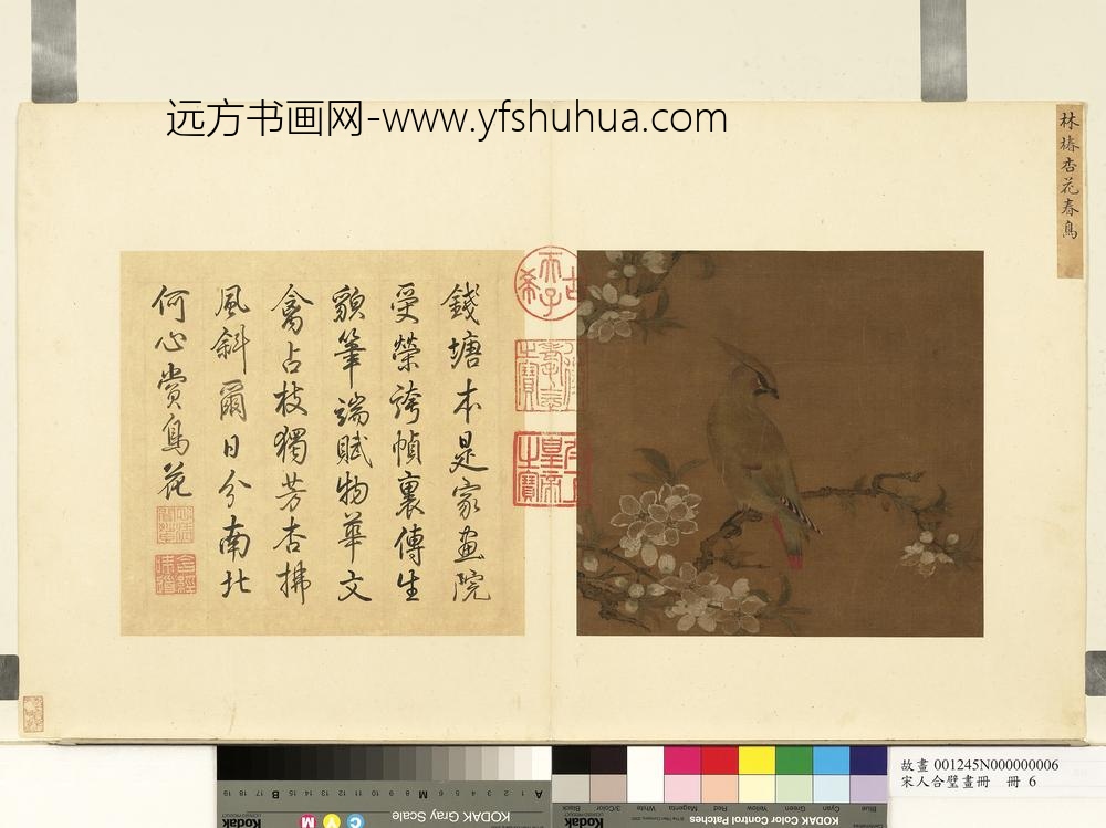 宋人合璧画册册-宋林椿杏花春鸟