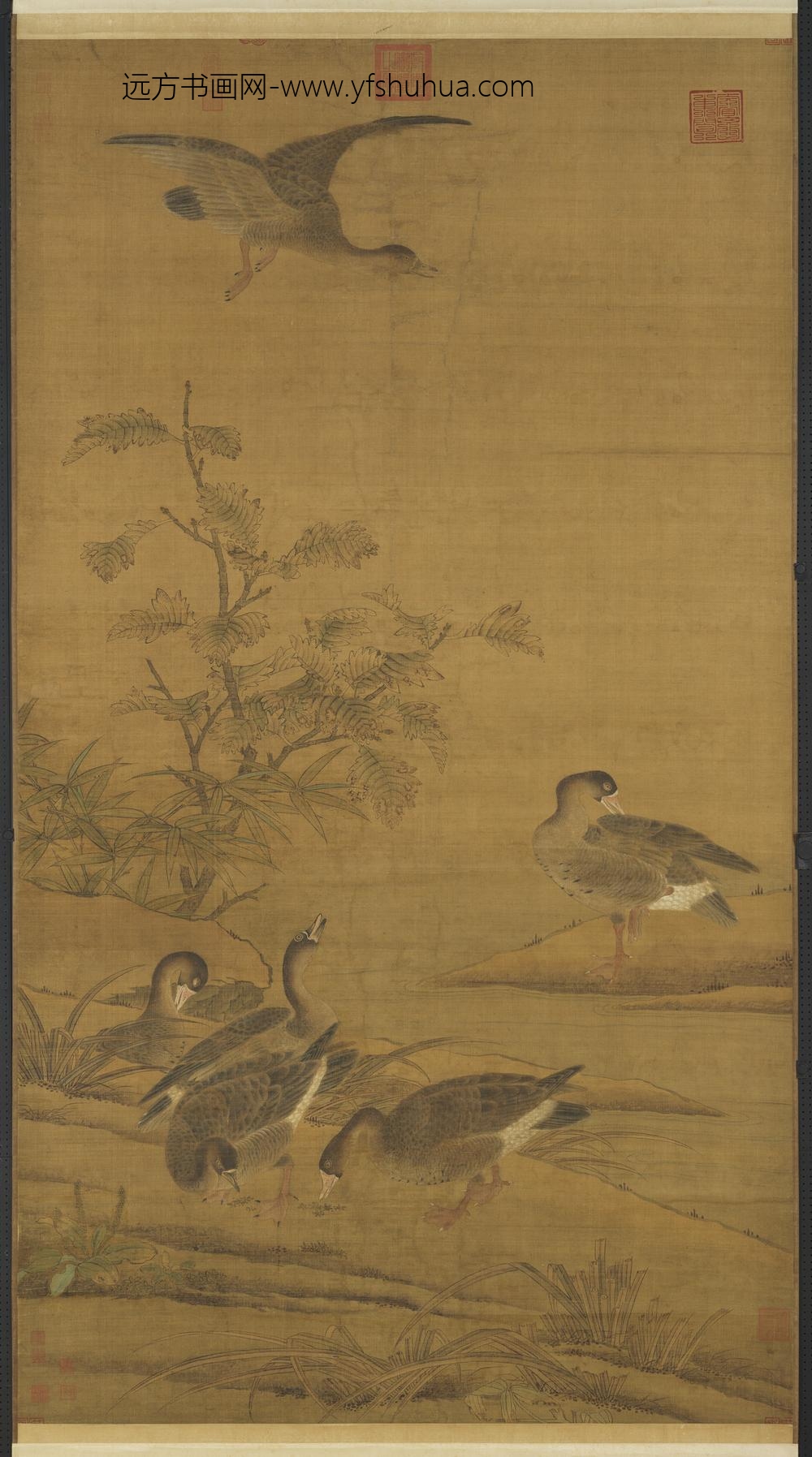 宋人寒塘群雁图轴