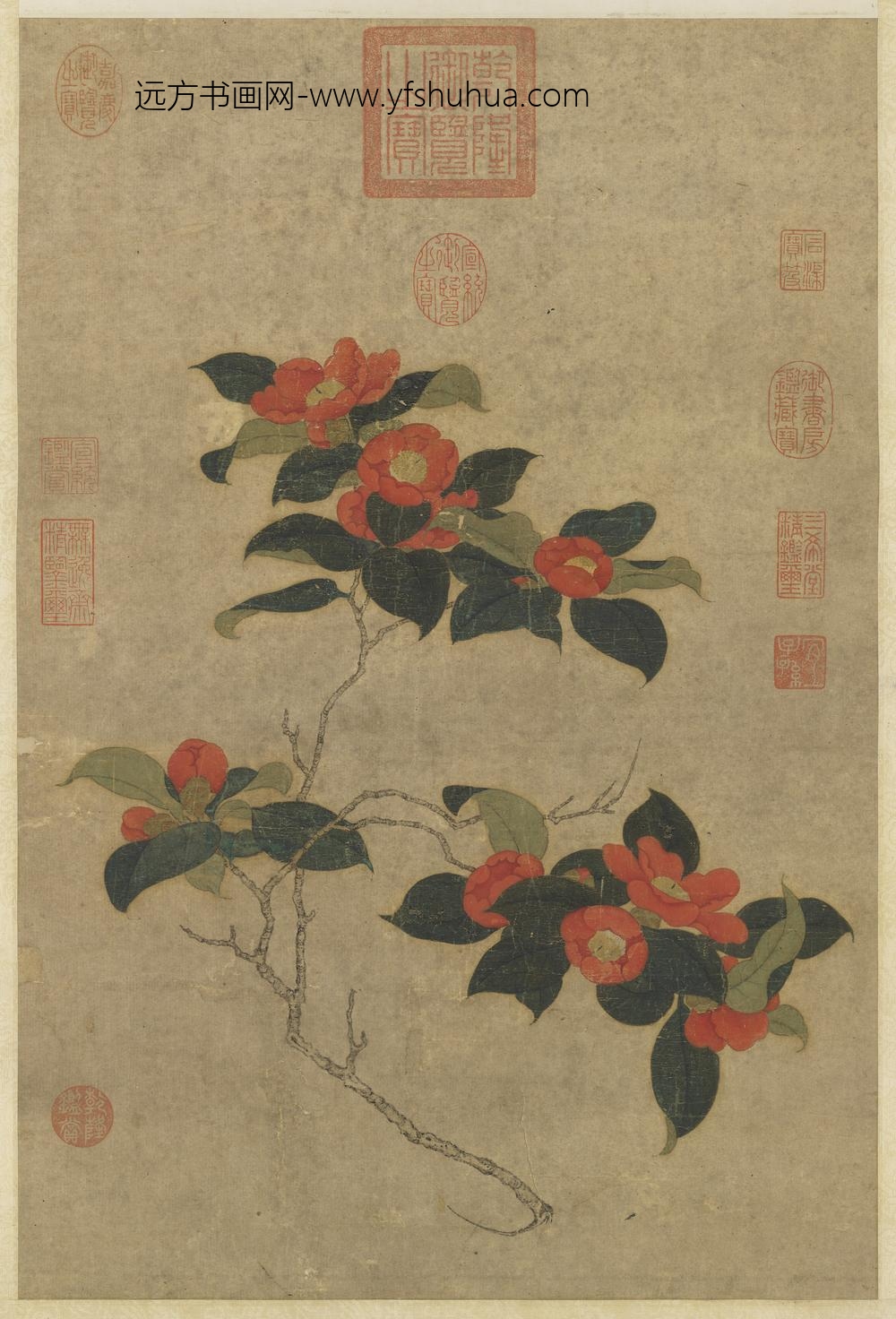 宋人山茶写生轴