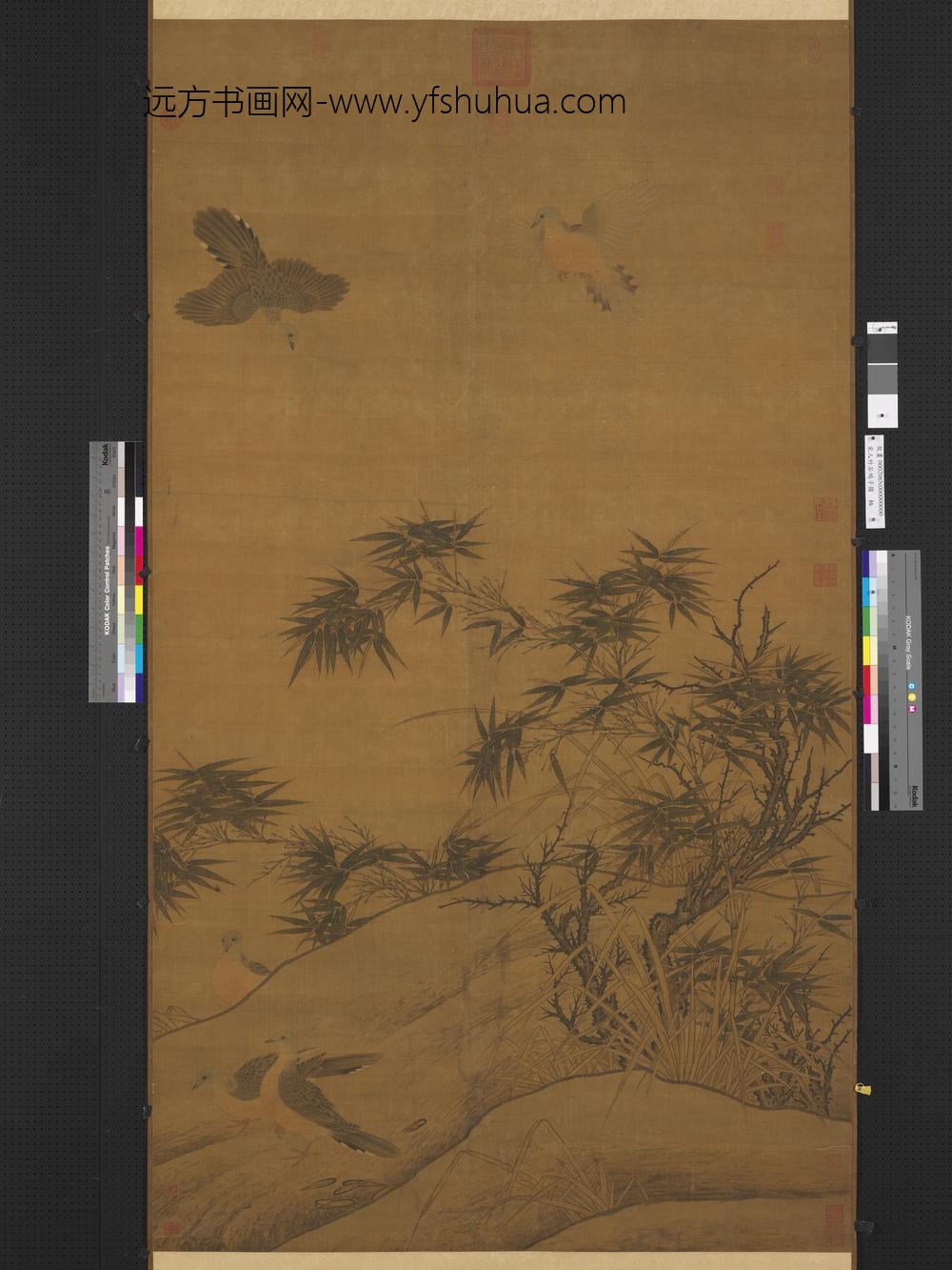 宋人竹石鸠子图轴
