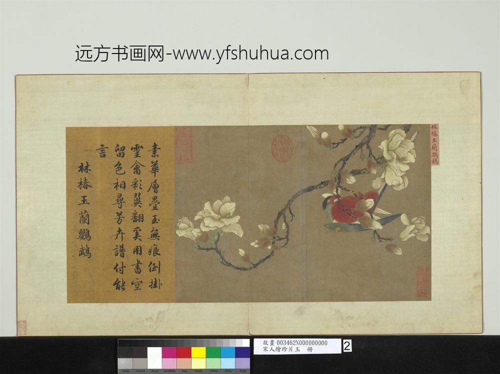 宋人绘珍片玉册-宋林椿玉兰鹦鹉