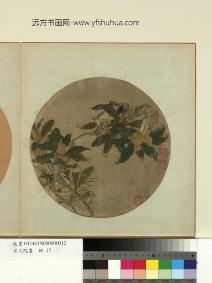 宋人院画册 宋人翎毛.jpg