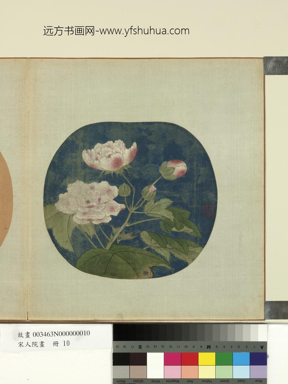 宋人院画册-宋人芙蓉