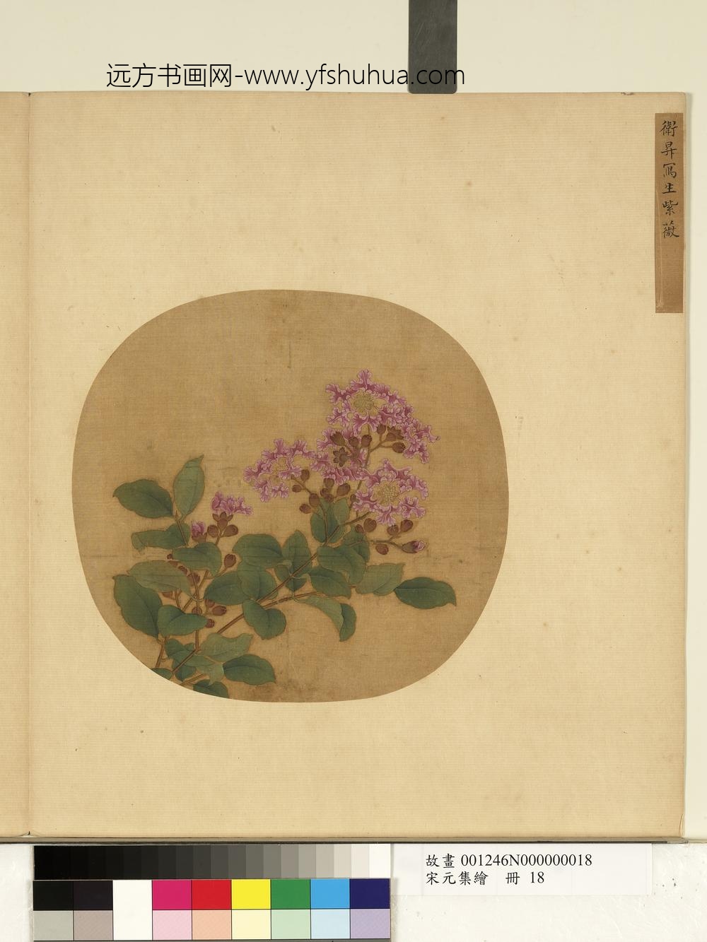 宋元集绘册-宋卫升写生紫薇