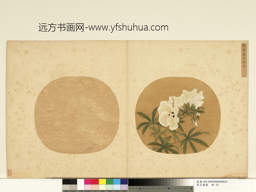 宋元集绘册-宋李东写生秋葵