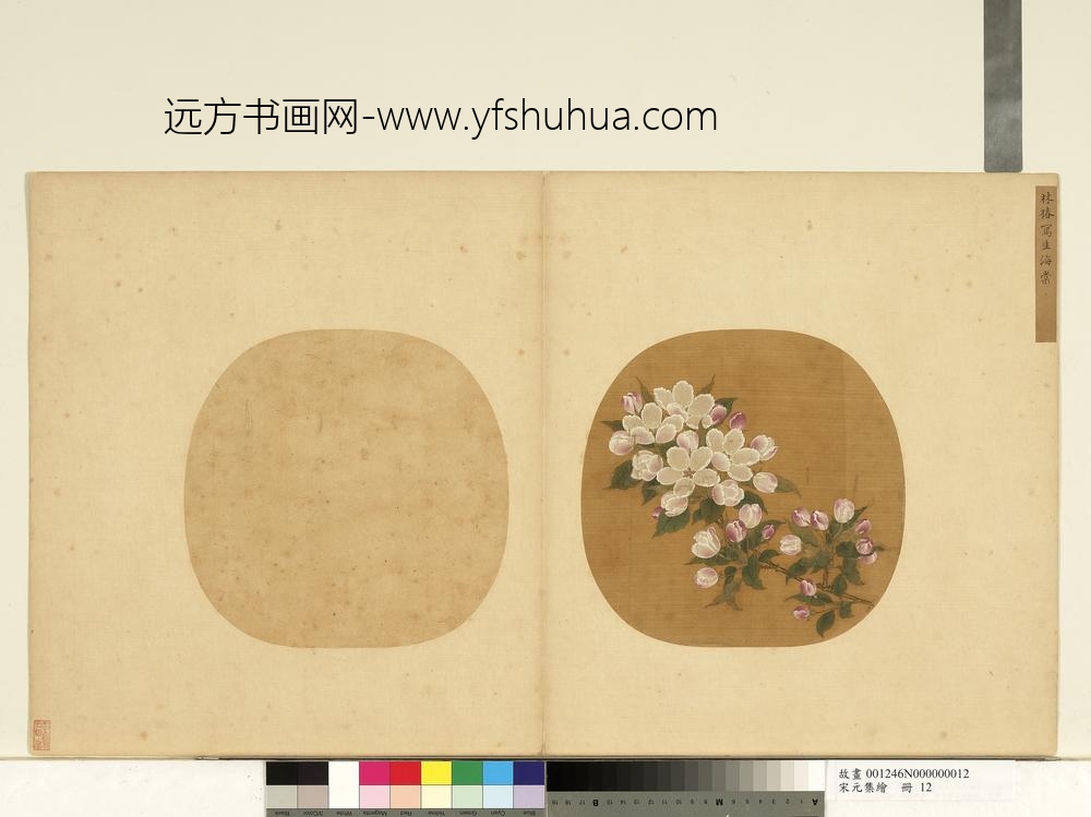 宋元集绘册-宋林椿写生海棠