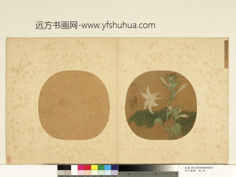 宋元集绘册-宋林椿写生玉簪