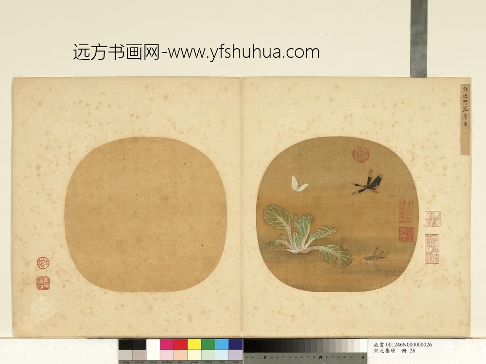 宋元集绘册-宋许迪野蔬草虫