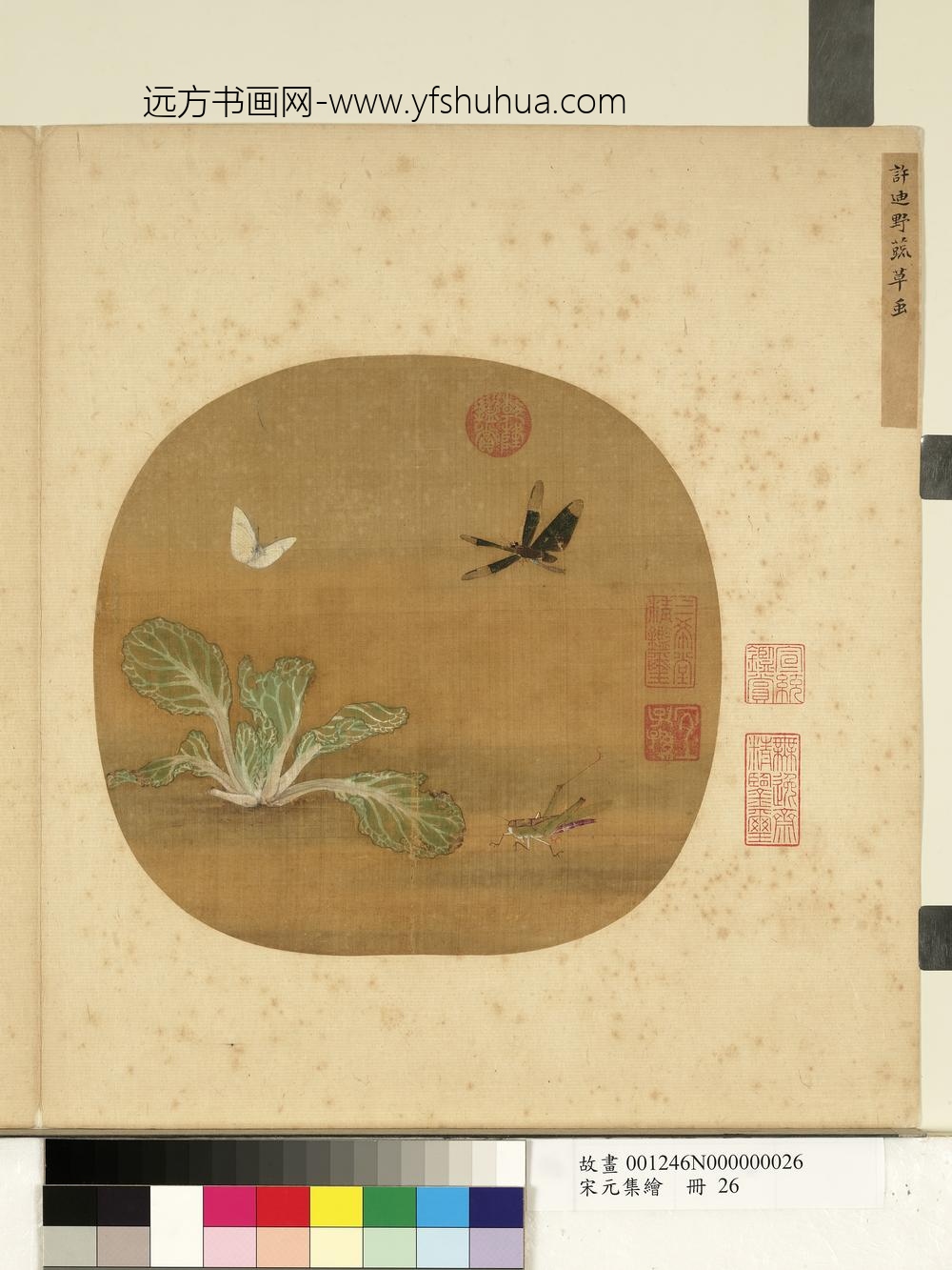 宋元集绘册-宋许迪野蔬草虫