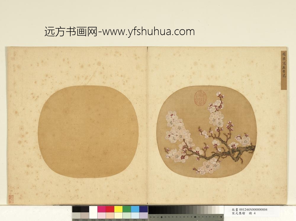 宋元集绘册-宋赵昌写生杏花