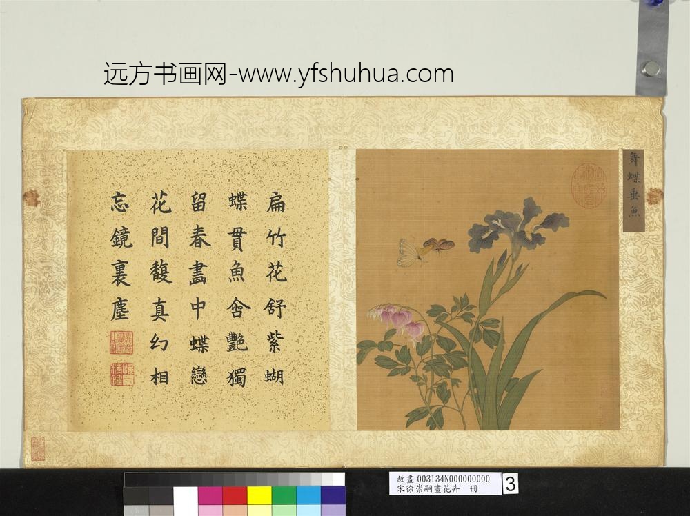 宋徐崇嗣画花卉册-舞蝶垂鱼