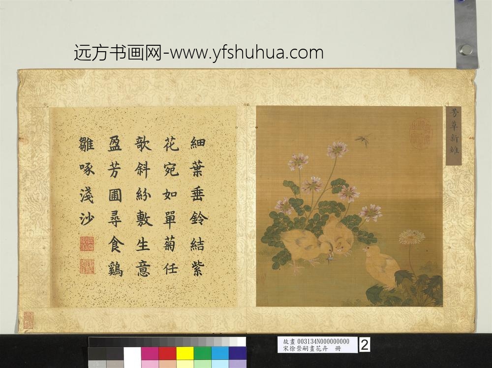 宋徐崇嗣画花卉册-芳草新雏