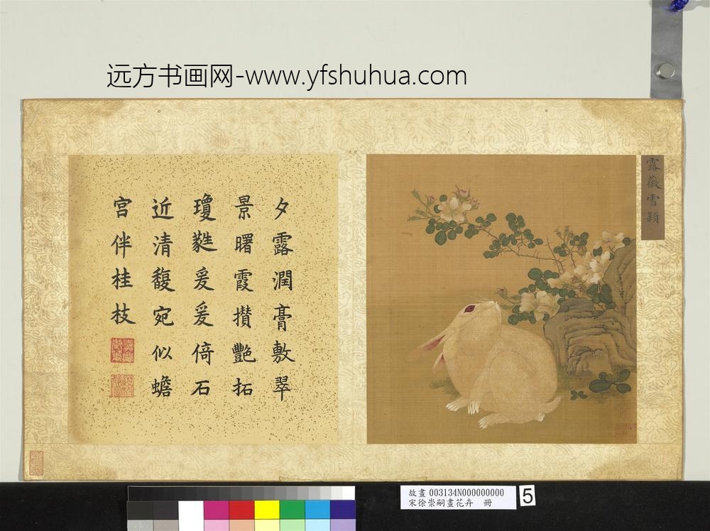 宋徐崇嗣画花卉册-露薇雪颖