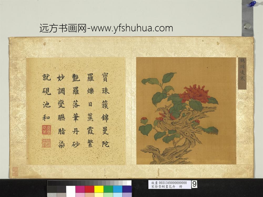 宋徐崇嗣画花卉册-鹤顶凌寒