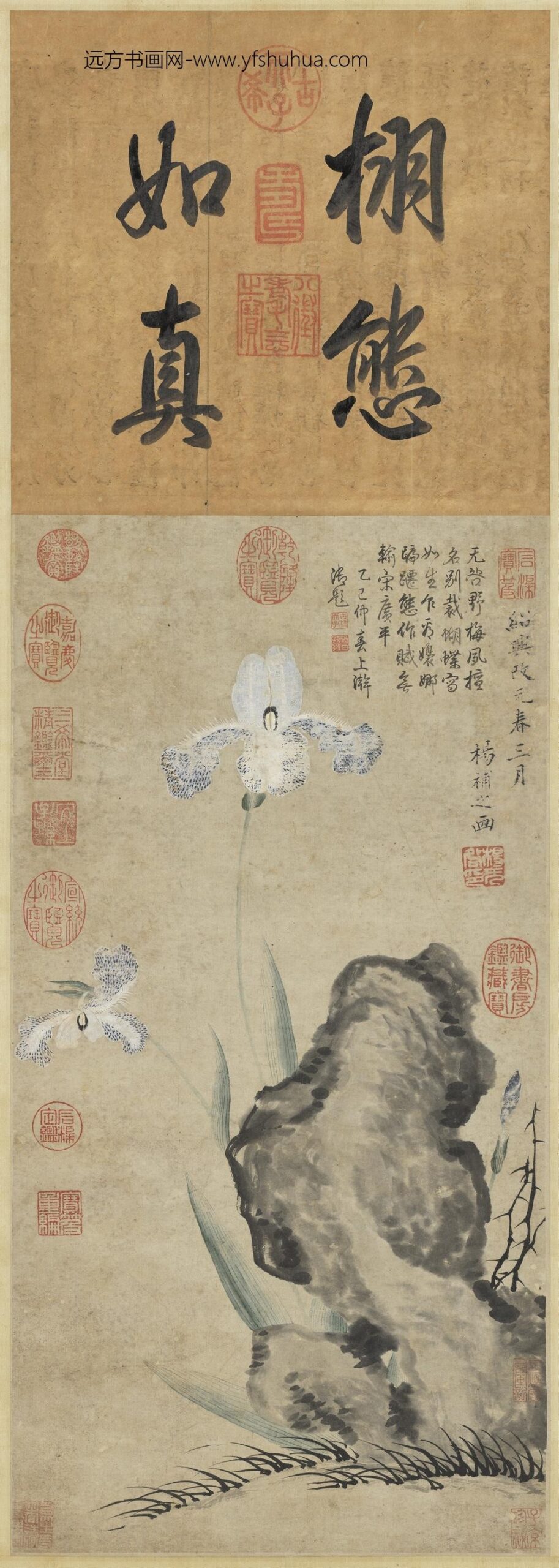 宋扬无咎画蝴蝶花轴