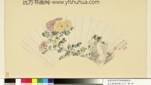 张兰 名人画扇贰册下册 菊石.jpg