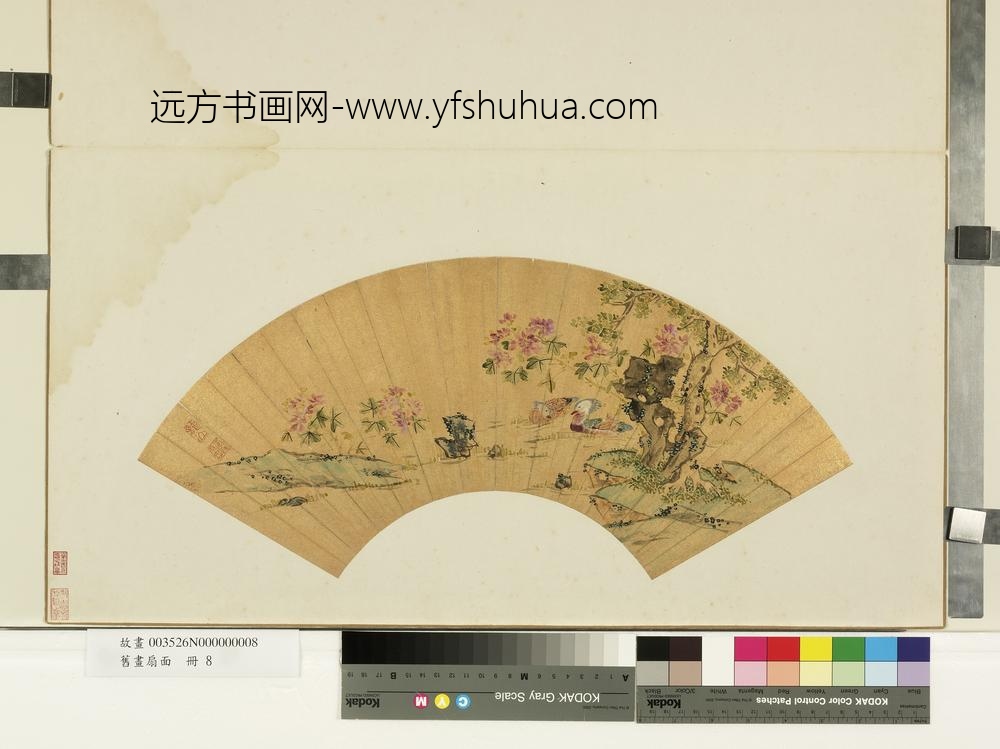 旧画扇面册-明人花卉