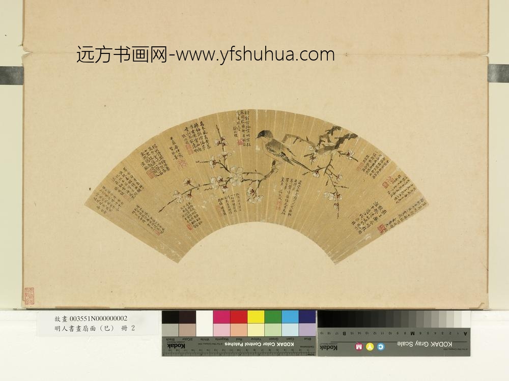 明人书画扇面（己）册明习于善白梅山鸟