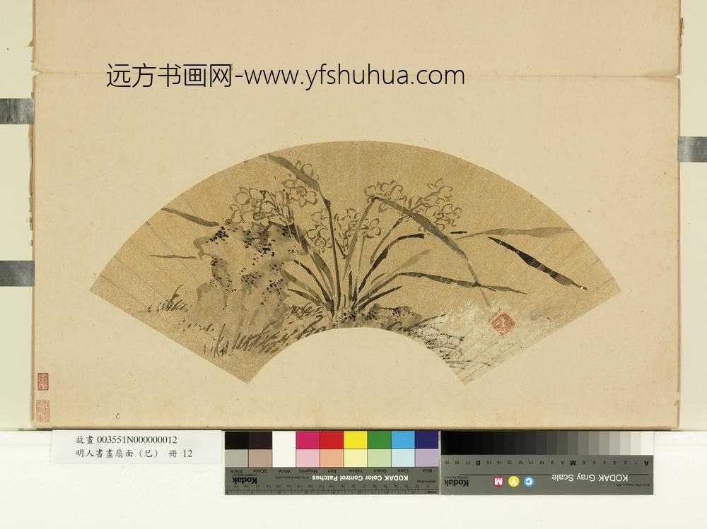 明人书画扇面（己）册明陈淳水仙