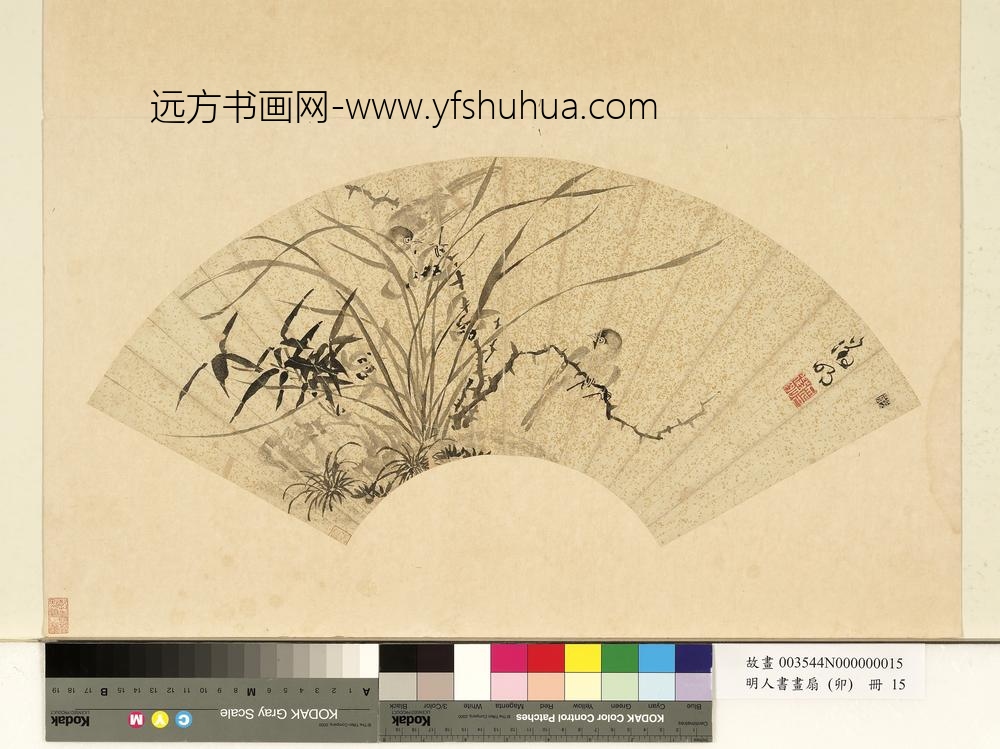 明人书画扇（卯）册明文征明山鸟墨兰