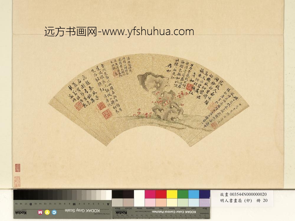 明人书画扇（卯）册明陈淳丹花奇石