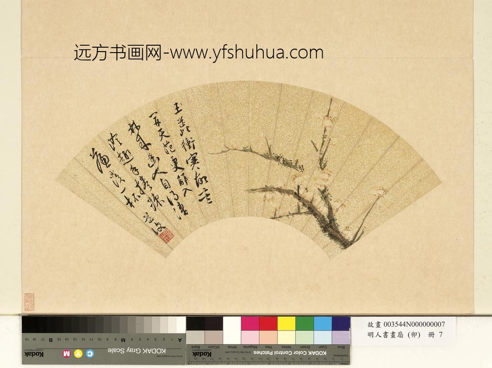 明人书画扇（卯）册明陈淳玉蕊冲寒