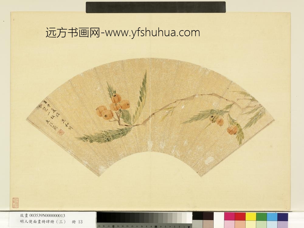 明人便面画册（三）册明文从简枇杷