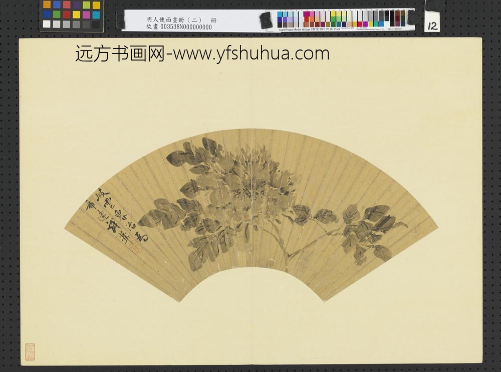 明人便面画册（二）册明鲁治牡丹